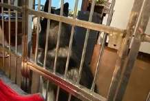 石头创业,石头创业项目