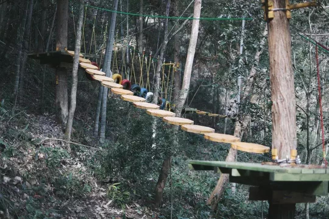 楠溪江的水有多美 (浙江楠溪江风景区怎么样)