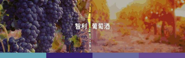 那个带唇印的红酒杯是什么杯?看完你就是朋友圈最懂葡萄酒杯的人