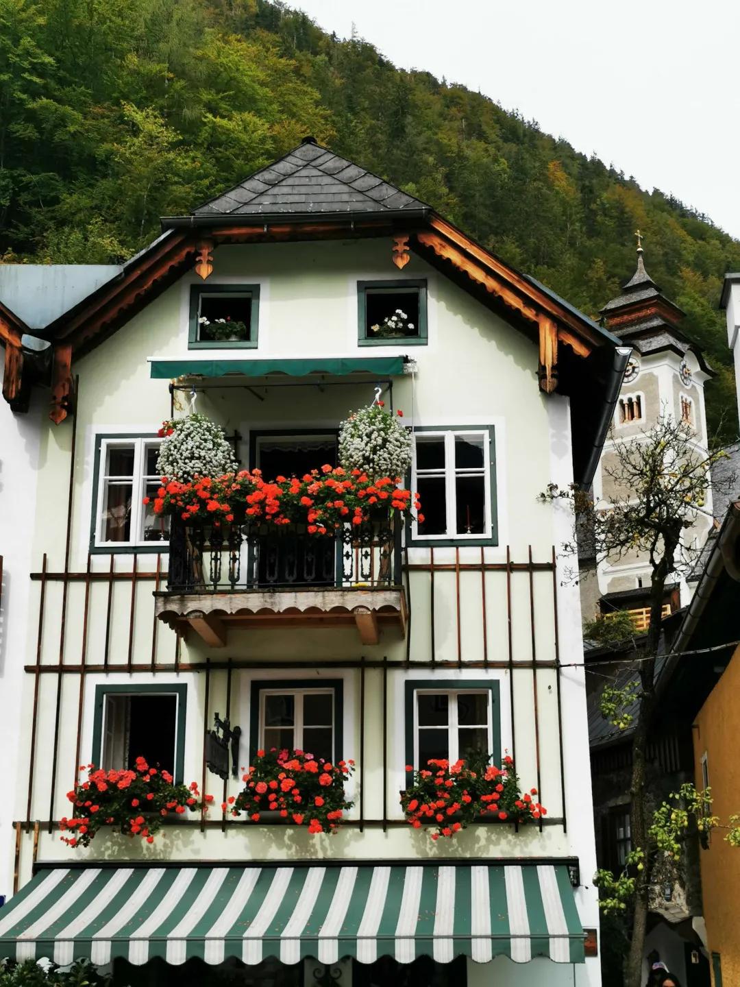 东北花园四季开花植物,北方一年四季都开花的花园