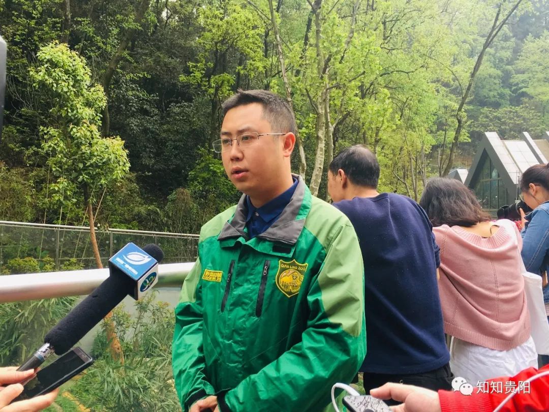 黔灵山公园熊猫馆五一节,贵阳市黔灵山公园熊猫馆开放时间