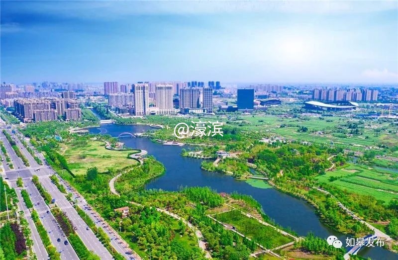 什么是如皋蝶尾,如皋的特点