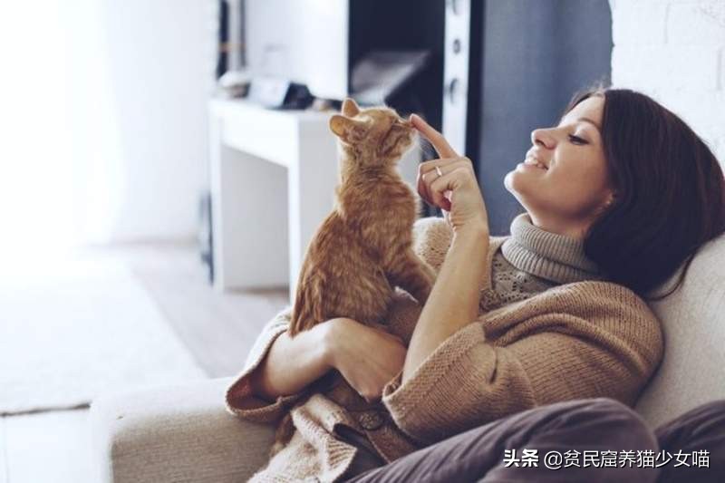 人猫交流真正实现了吗,猫咪交流软件真的有用吗