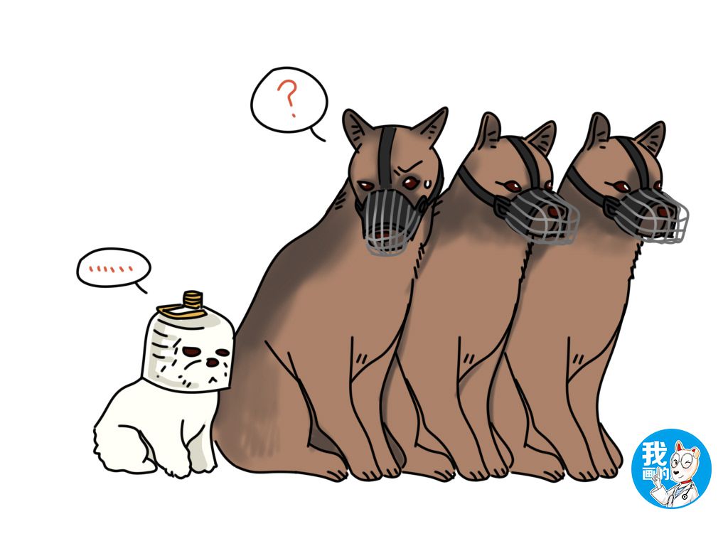 狗狗不愿意剪毛怎么制服,狗狗超级拒绝剪指甲