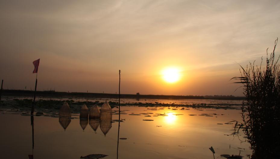 云南澄江民间苗族情歌,郎有情来妹有意,唱着浓浓的乡间爱情