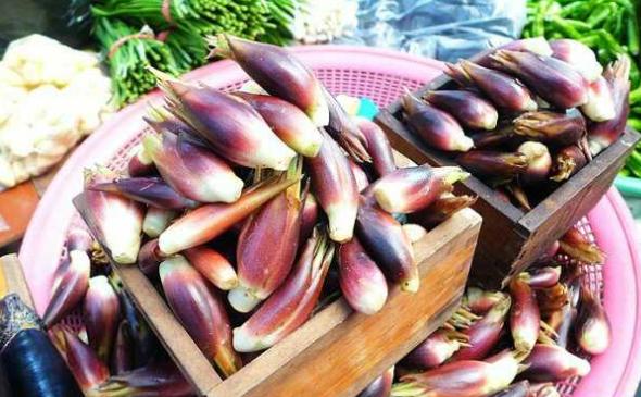 它叫阳火姜，气味让人上头，俗称“亚洲人参”，若见到别整株挖走