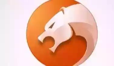 傅盛和猎豹怎么出海,猎豹移动ceo傅盛怒怼王自如