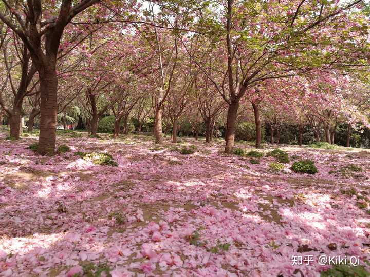 郑州有什么好吃的美食,郑州有什么好玩的地方情侣