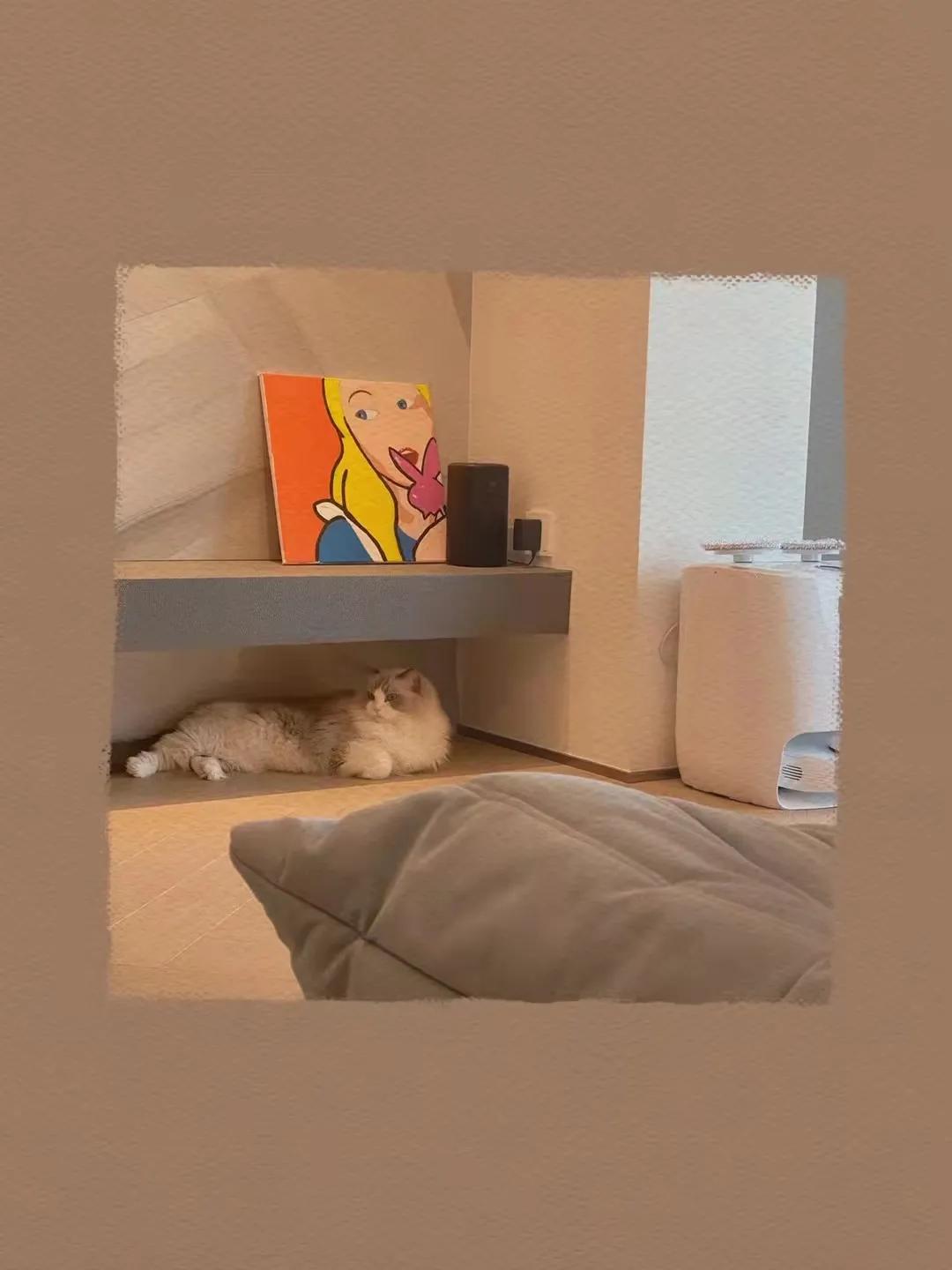 万科御澜道意式极简,万科御澜道欧式风格