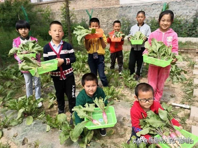 临夏市青少年学校外活动中心,临夏儿童暑假训练营