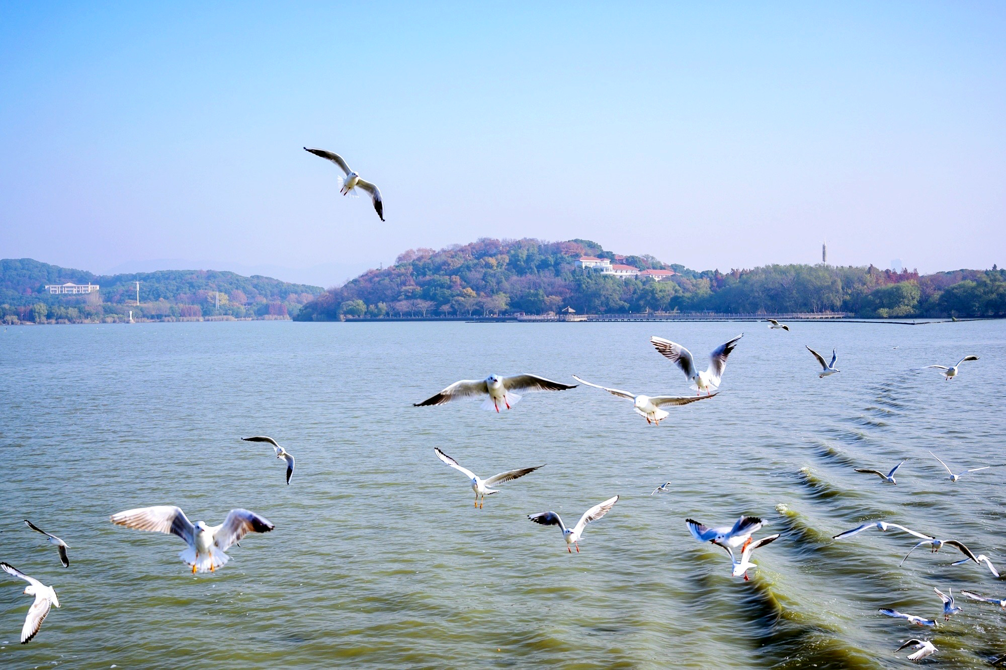 太湖最美的景点是哪里呢,太湖最美的景色在哪里