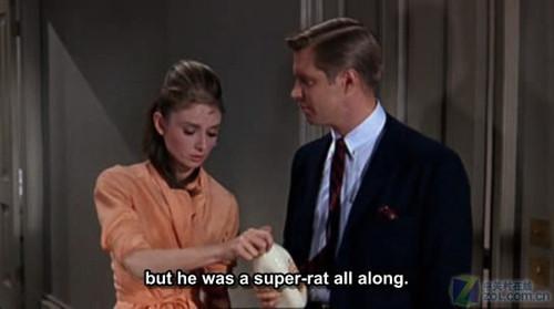 霍莉梦想｜在《蒂凡尼的早餐》世界里