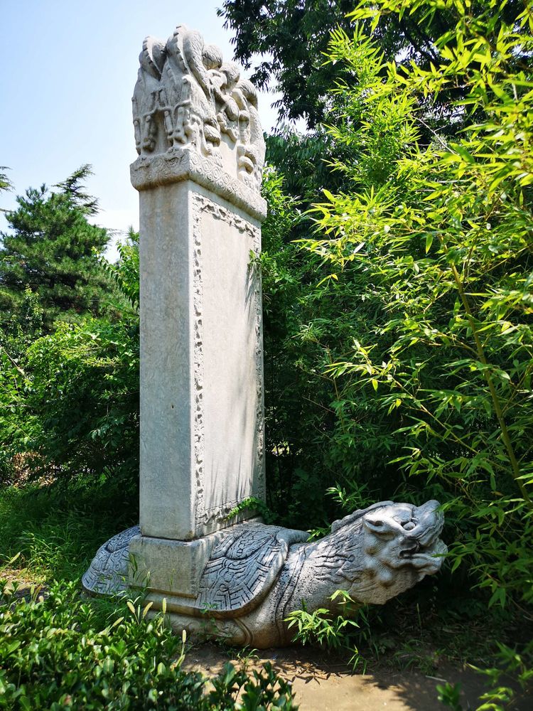 漫步北大校园,北大印象图片