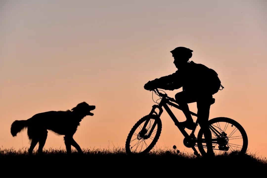 被狗舔一下会得狂犬病毒,狗舔了一下会得狂犬病吗