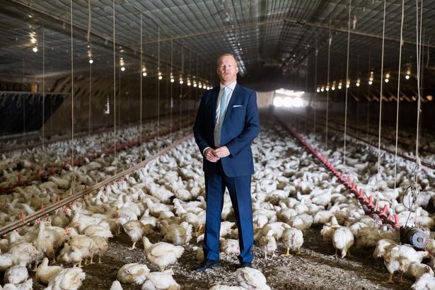 英国洗洁精洗鸡肉,英国洗衣液除螨除菌