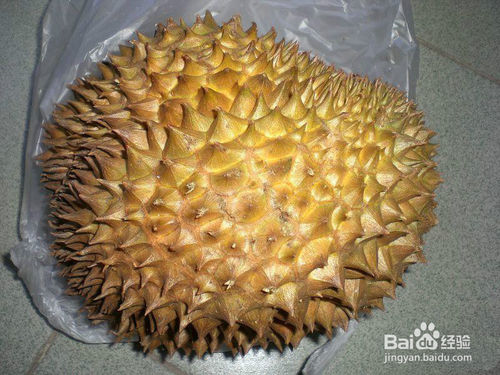 榴莲肉不熟怎么处理能好吃,榴莲肉硬不甜怎么补救