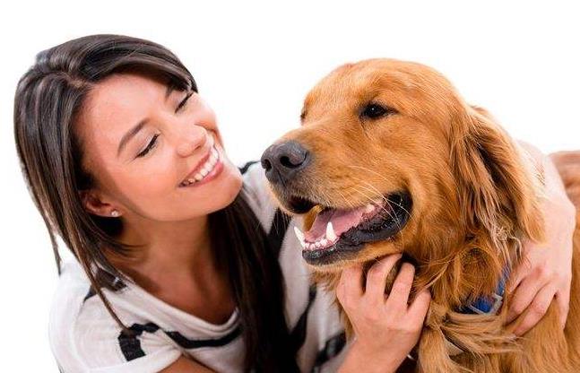 狗狗出门叫不过来怎么训练,狗狗一出笼子就兴奋乱跑怎么训练