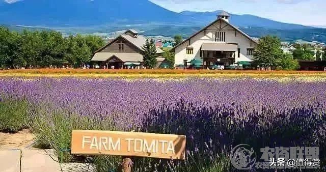 “变态”的日本农业：超前思维，敬畏自然，死磕单品