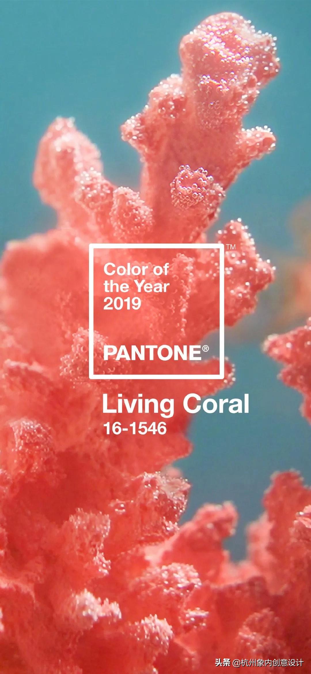 pantone2023流行色对冲色,2024pantone流行色色号