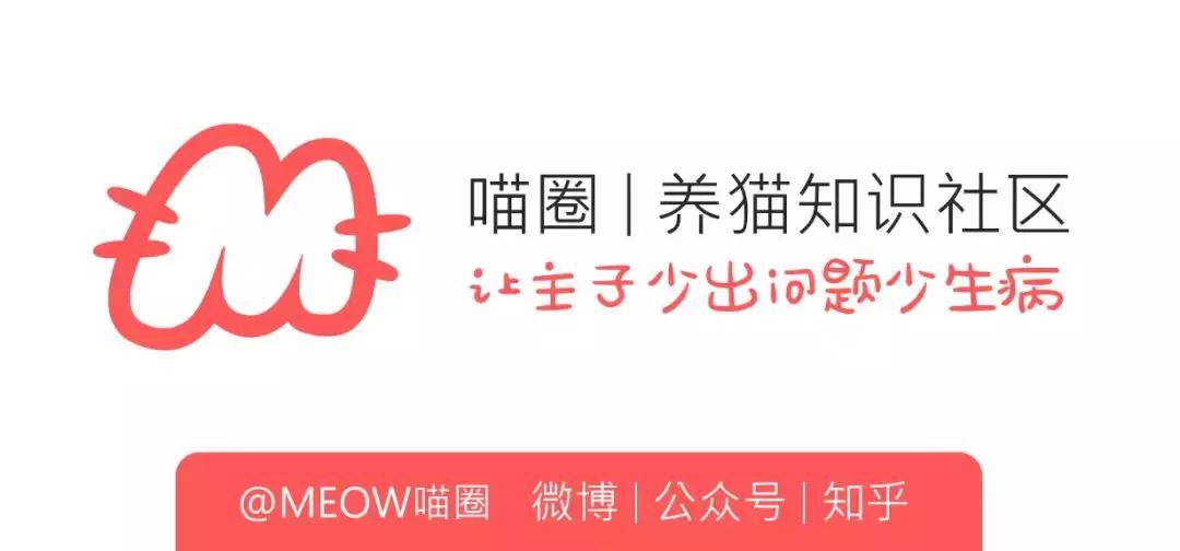 老佛爷去世，他那只年挣300万欧元的猫将继承他的遗产？！