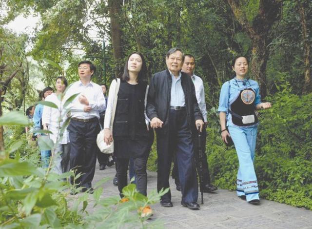 杨振宁和翁帆哪年结婚,翁帆与杨振宁现在婚姻如何