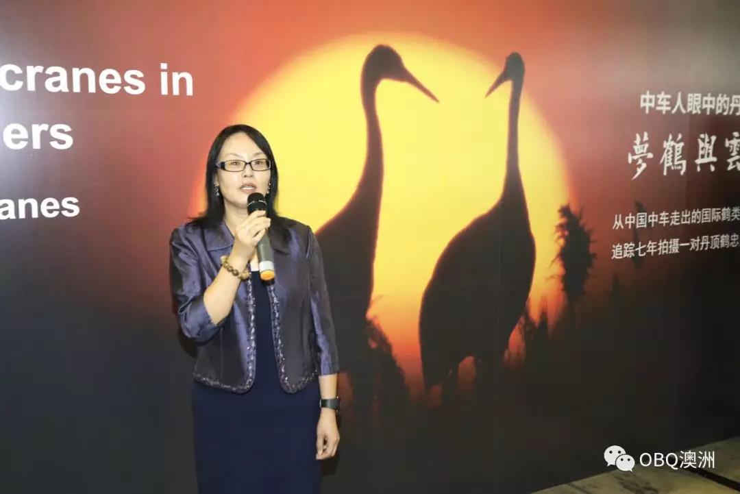 悉尼茶博会,2019年悉尼狂欢中国节