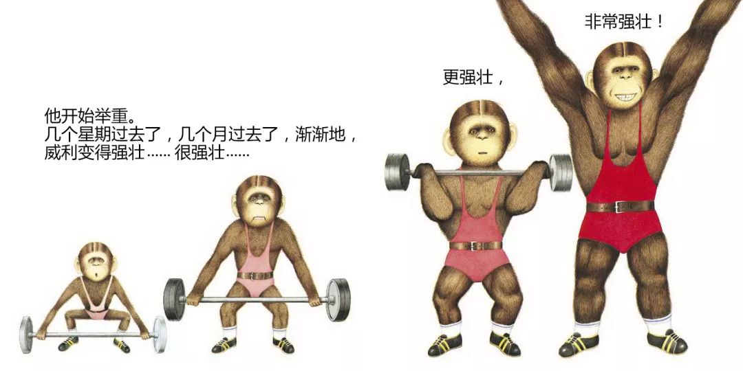 胆小鬼威利绘本阅读思维导图,胆小鬼威利故事绘本视频