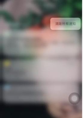 忠实果粉正确使用方法,果粉的隐藏技巧