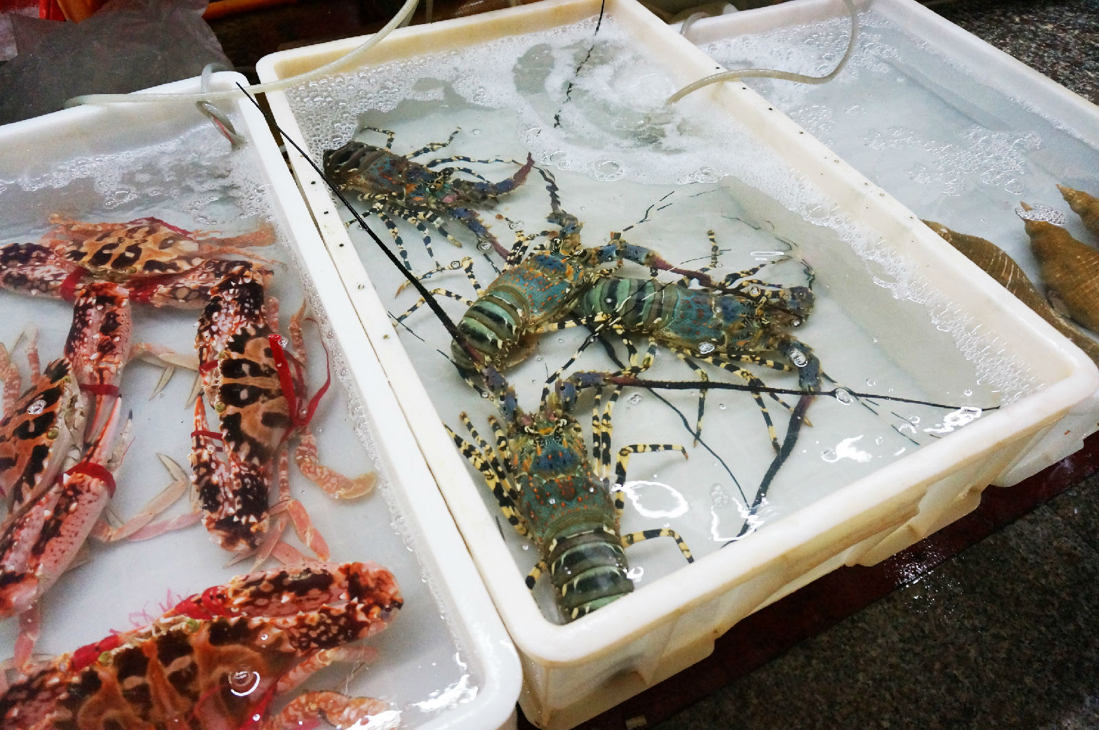 海南租车别克7座每天价格,海南自驾租车最便宜