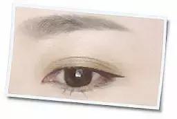 kate全线测评,kate新旧版本测评