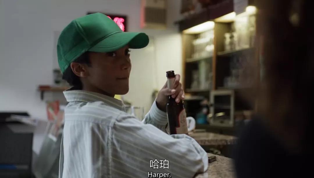 卢卡瓜达尼诺合作电影,卢卡瓜达尼诺电影风格