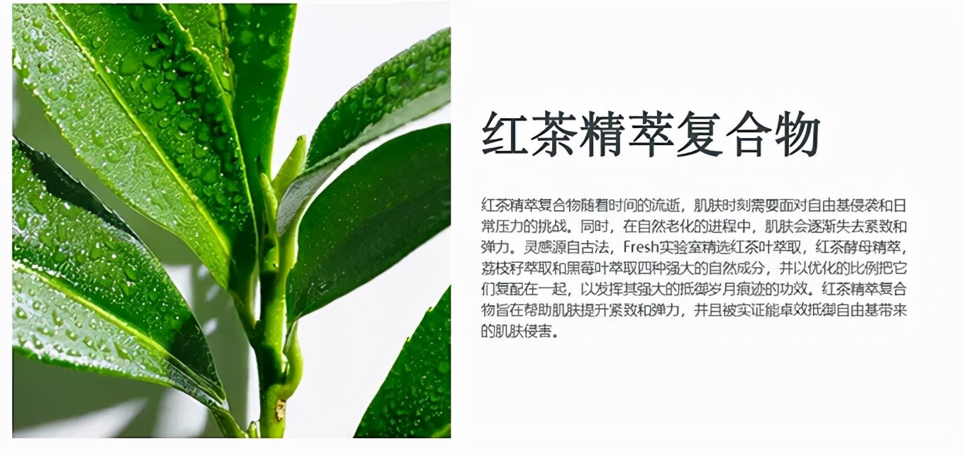 肯花上亿资金研发上千种植物成分老外为何独爱这一口“茶”