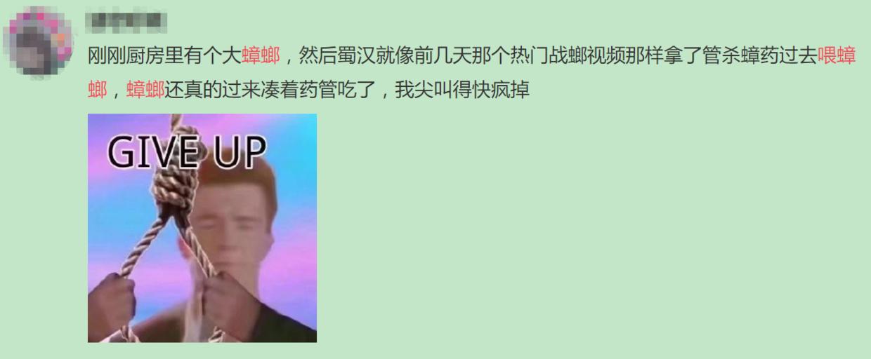 南方蟑螂和北方蟑螂对比恶搞,南方大蟑螂吓哭北方人