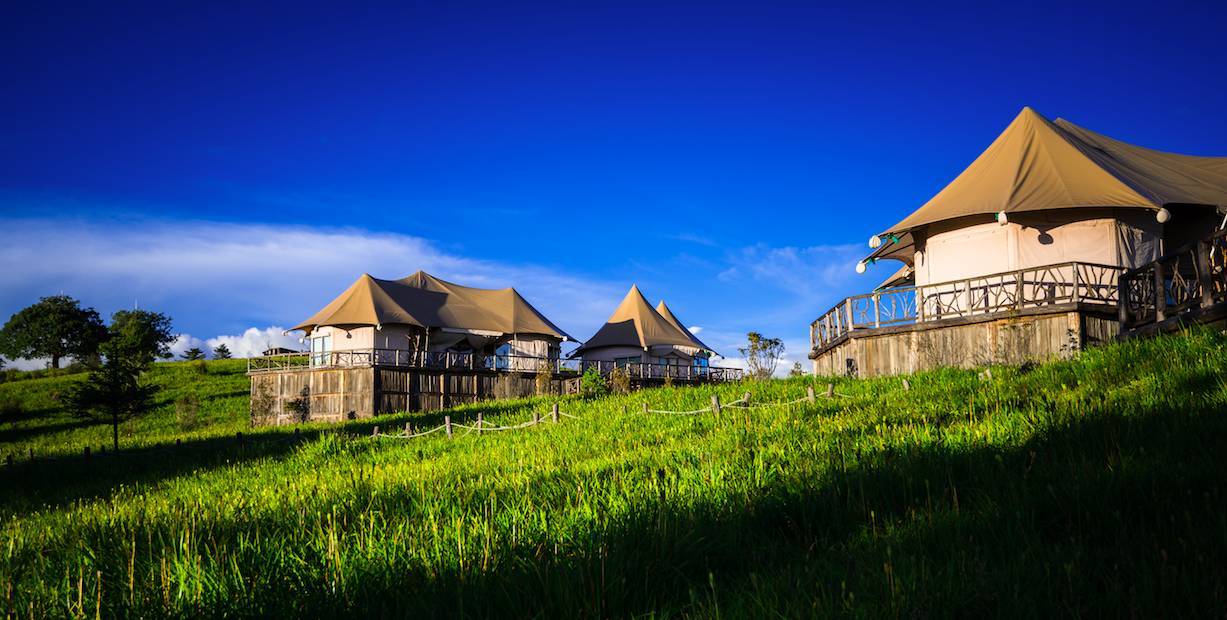 閰掑簵甯冭崏鍝佺墝鍗佸ぇ鎺掕,鍝佺墝閰掑簵鎺掕姒滃墠鍗佸悕