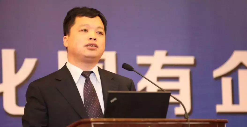 贵州绿色农产品何以风行天下？从毕节一颗萝卜出口迪拜的跨国之旅说起~