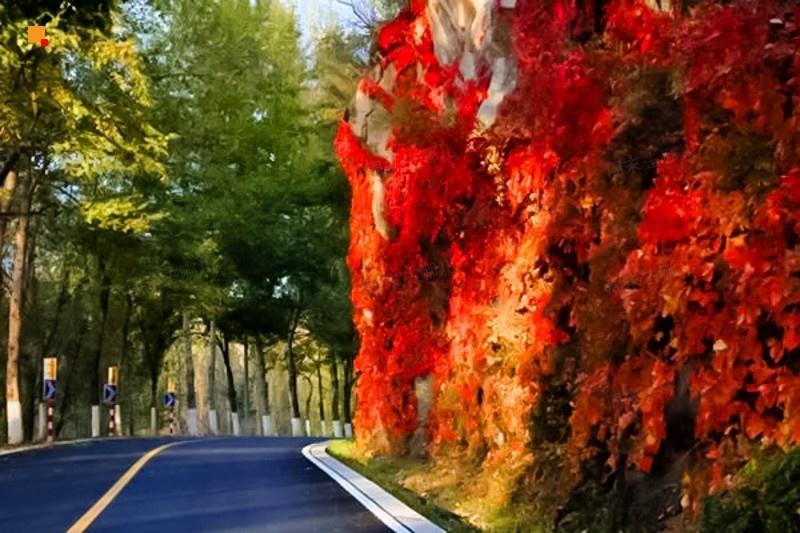 北京赏秋十大打卡地,北京赏秋