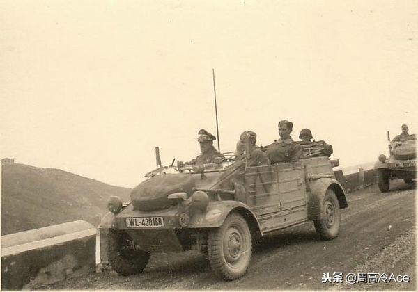 大黄蜂专属甲壳虫,大黄蜂甲壳虫系列