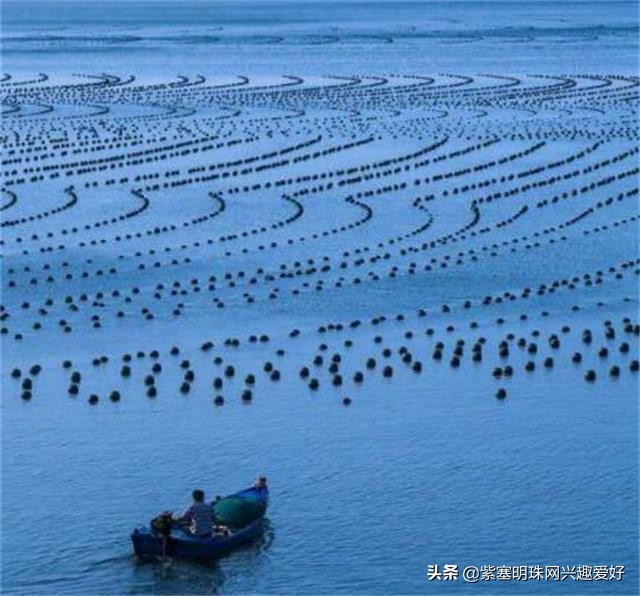 日照吴家台值得推荐的渔家乐,换一个角度感受生活中别样的美