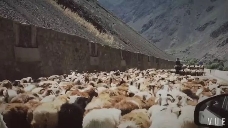 最实用最靠谱的旅行app,10个帮你搞定出境旅行的必备app