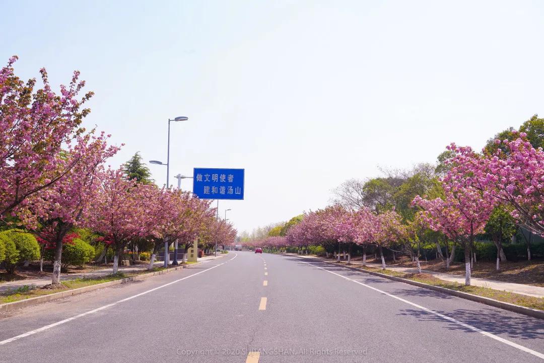 汤山十大温泉排名,南京汤山温泉排名第一