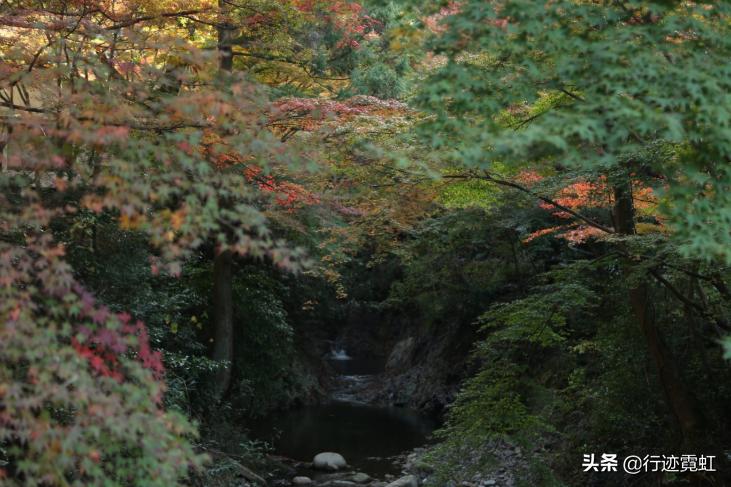 日本什么温泉对伤口有好处,日本什么类型的温泉对伤口有好处