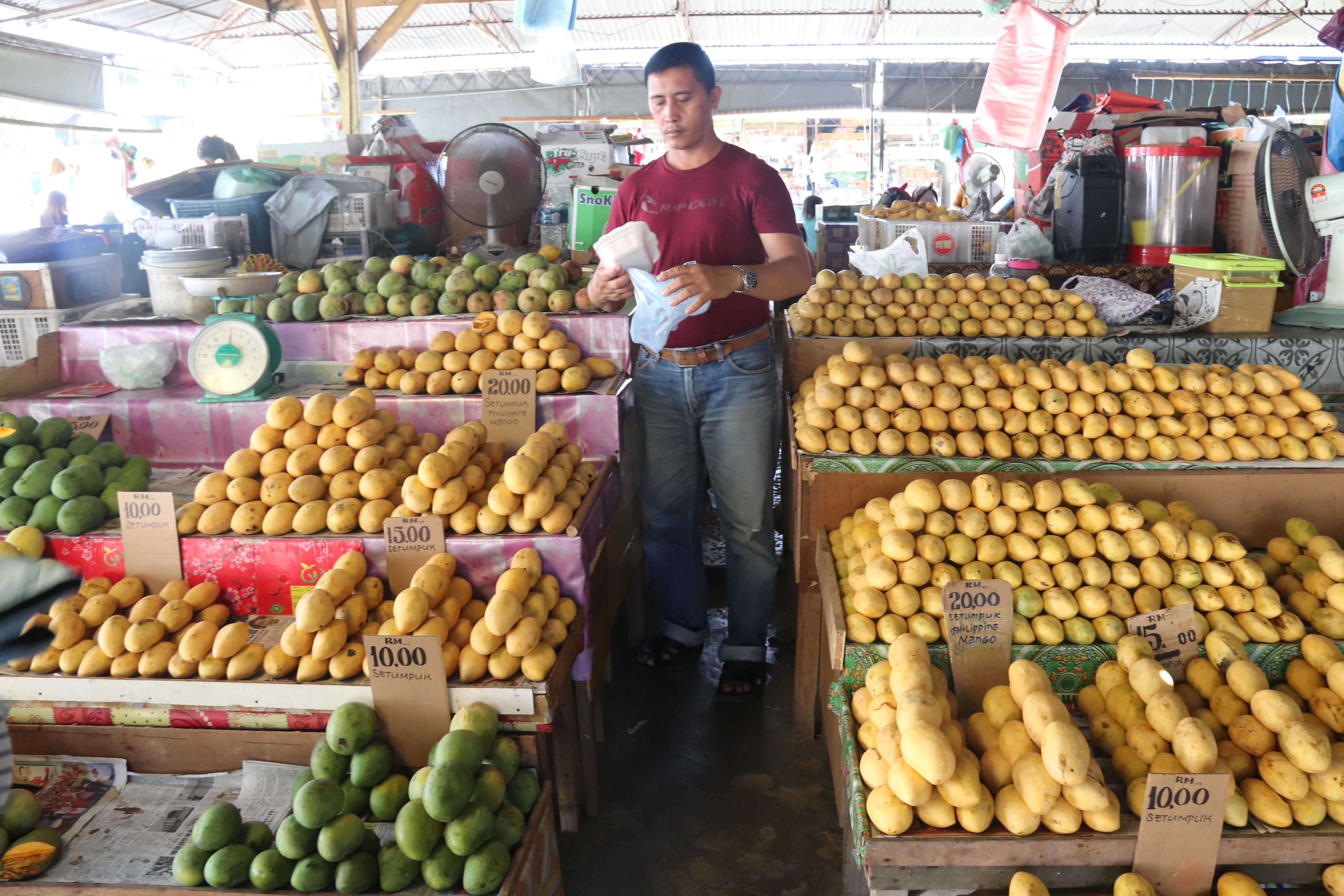 2018马来西亚之旅留影,2019回眸