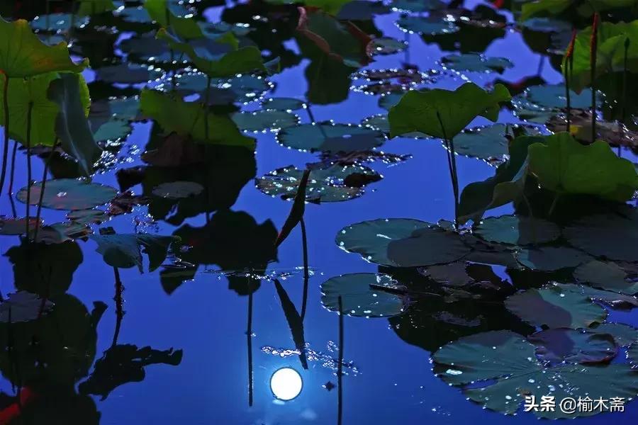 夏夜诗词佳句：松间小槛接波平，月澹烟沉暑气清