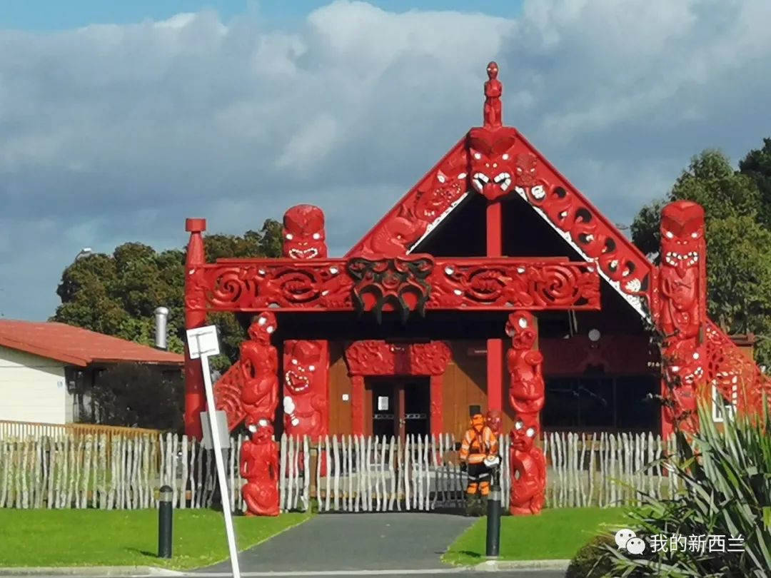 为什么留在新西兰,为什么越来越多人选择新西兰