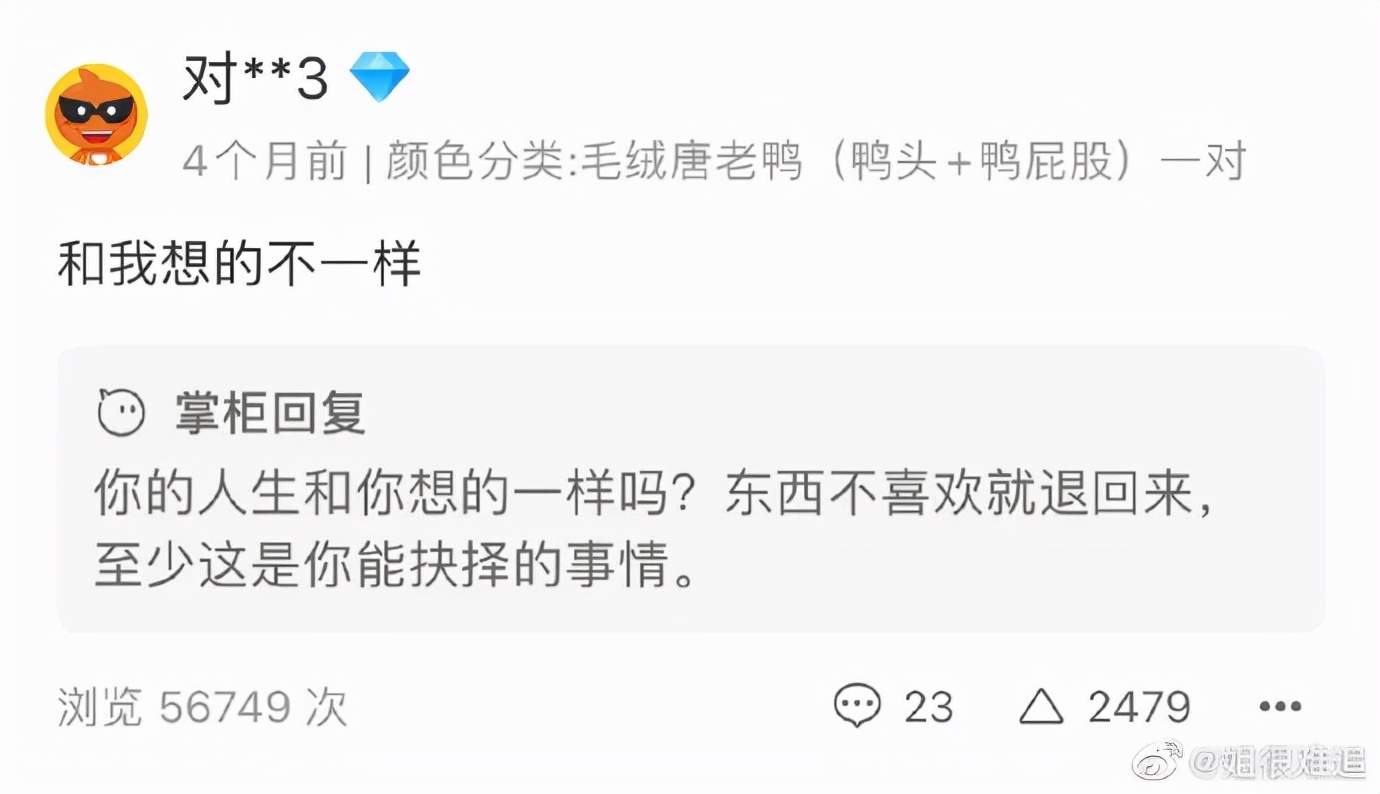 看到铲屎官终于回家，立即安心地睡着了|冷段子1986