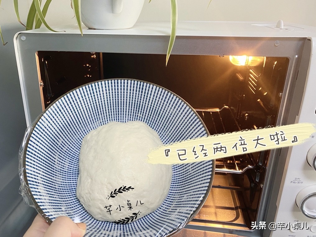 有烘焙经验探讨烤箱哪一款好坏,烘焙新手入门级电烤箱推荐