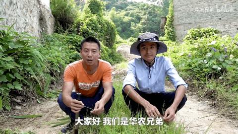 揭秘mcn网红大红大紫的背后推手 (mcn网红恩怨与内幕)