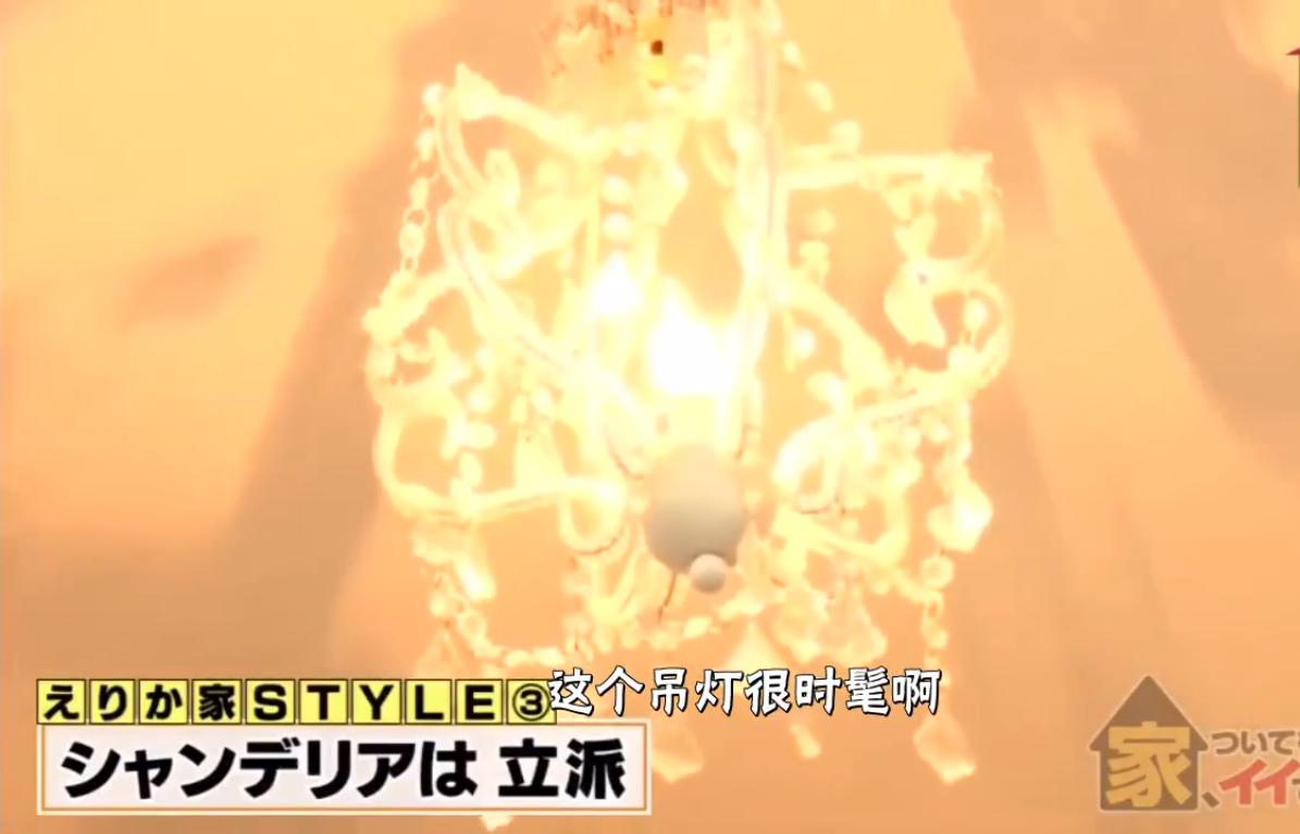 日本住在垃圾堆的女白领,日本老人把家里堆成垃圾堆