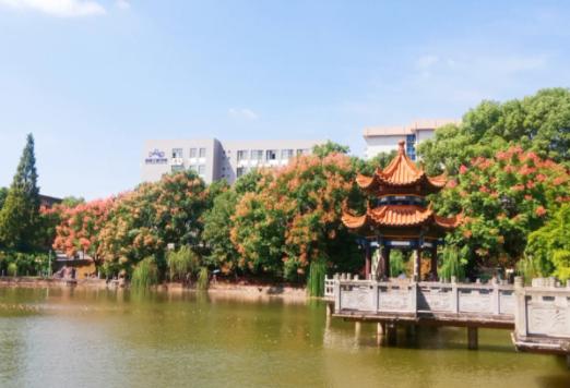 北大博导学历遭学生嫌弃后续,北大学历被质疑的女教授