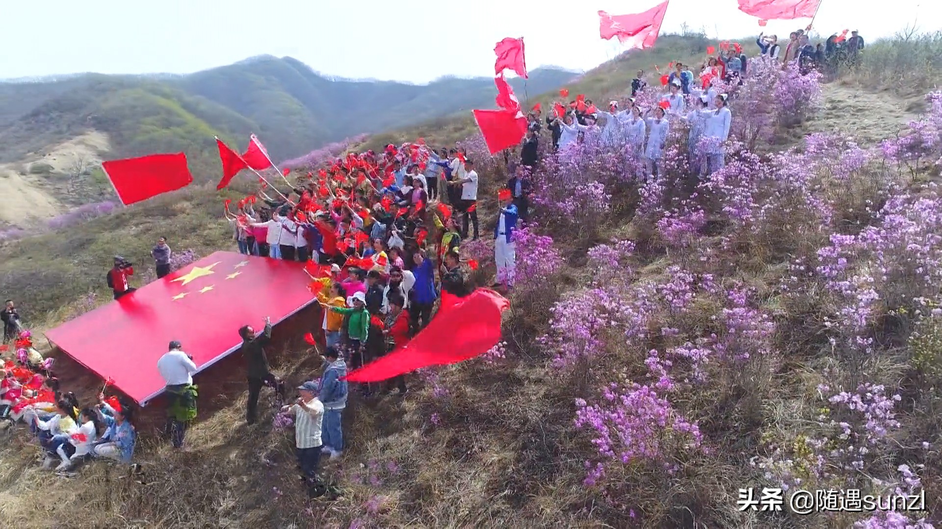 岫岩黄岭子映山红景区简介,岫岩开映山红在哪个地方